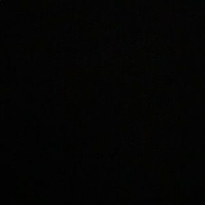 Meet your Posher, Desirae